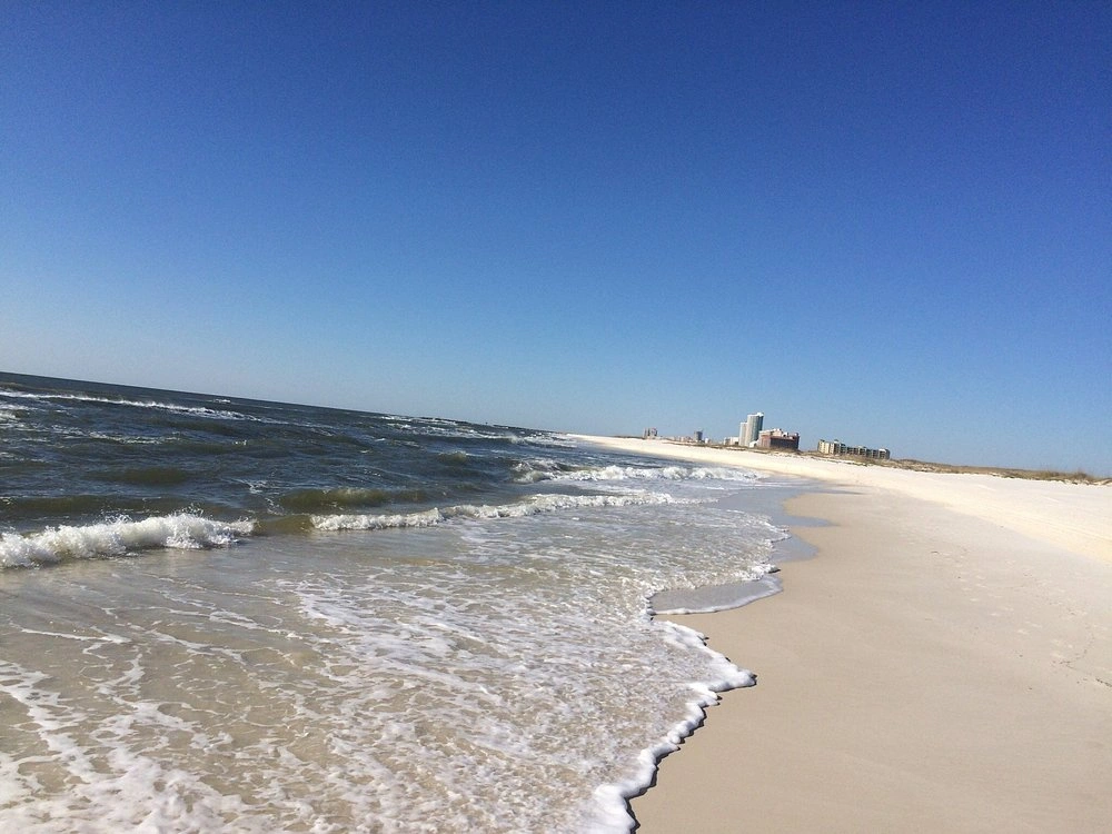 Alabama Point East Beach